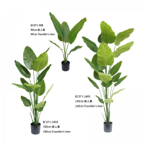 Arborele călătorilor